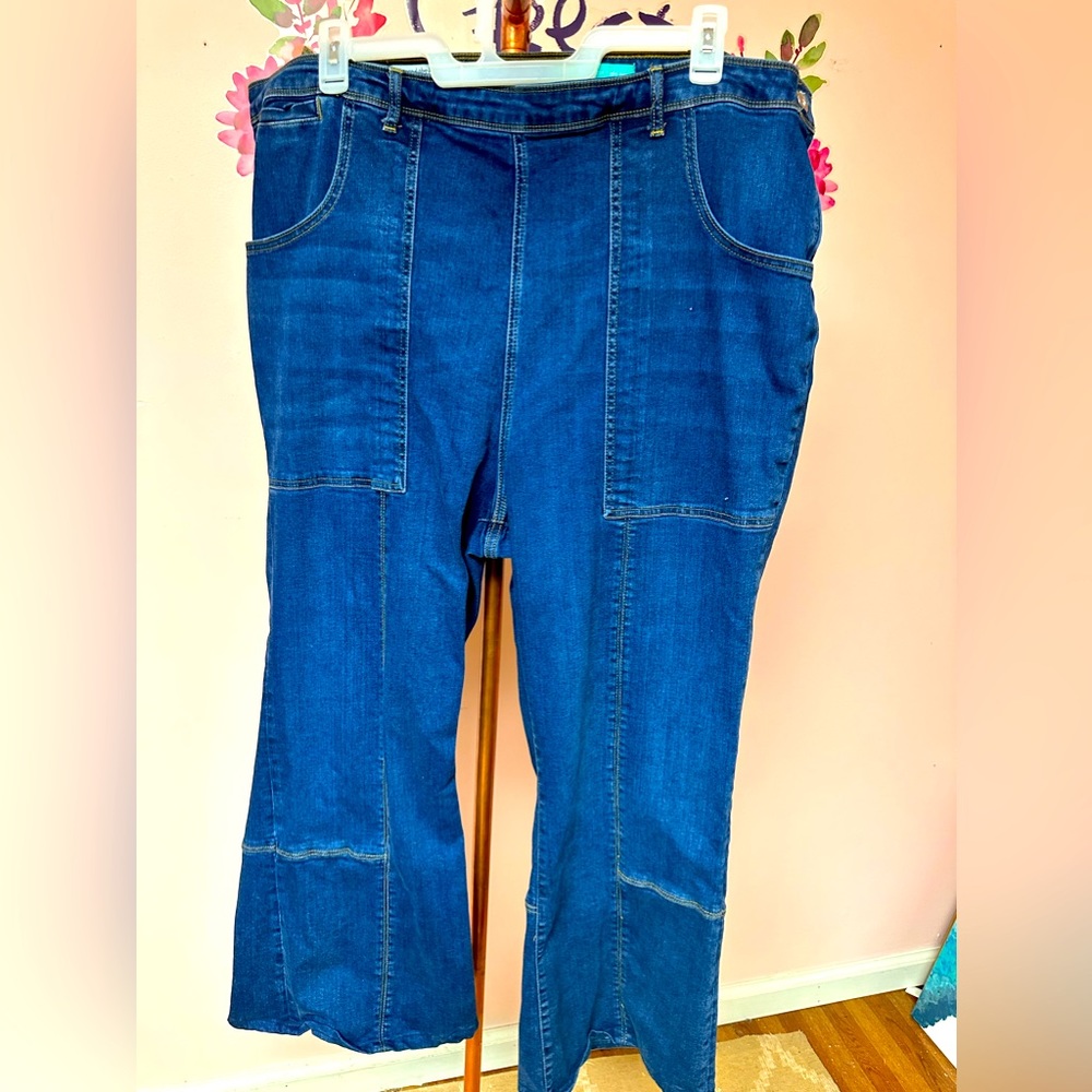 Anthropologie plus size jeans size 26w